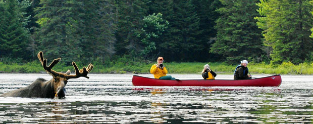 Algonquin Canoe and Lodge, Ontario - Credit: Voyageur Quest and Langford Adventure Company