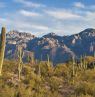 Wüstenpanorama - Credit: Visit Tucson