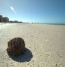 Clearwater Beach, Clearwater, Florida - Credit: Visit Florida