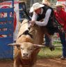 Bull Rider - Shawnsee Rodeo, Shawnsee, Oklahoma - Credit: OTRD