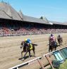 Saratoga Race Course, Capital-Saratoga Region, New York State - Credit: NYSDED, Darren McGee