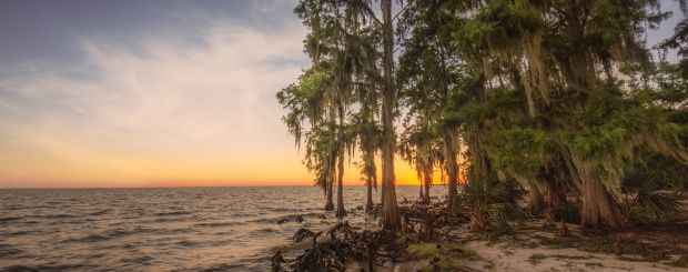 Fontainebleau State Park Sunset credit LOT