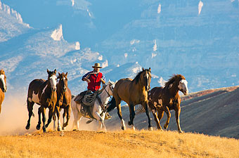Wild Horses, 

Wyoming - Credit: The Hideout Lodge and Guest Ranch