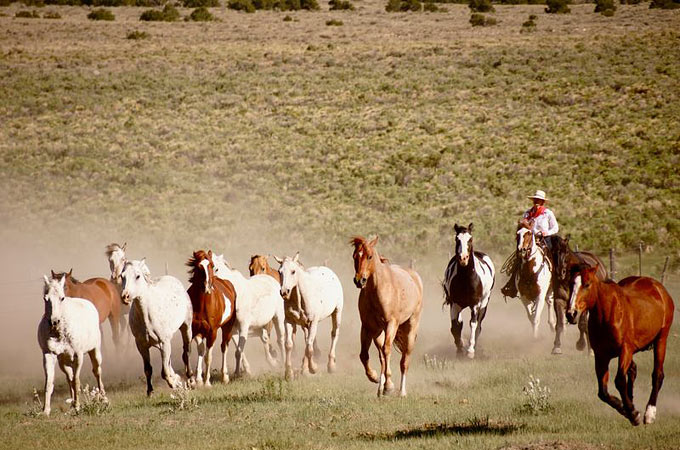 Zapata Ranch, Colorado - Credit: Grace Phillips