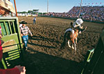 Mandan Rodeo Days, North Dakota - Credit: North Dakota Tourism