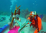 Underwater Music Festival, Lower Keys, Florida - Credit: © by The Florida Keys & Key West