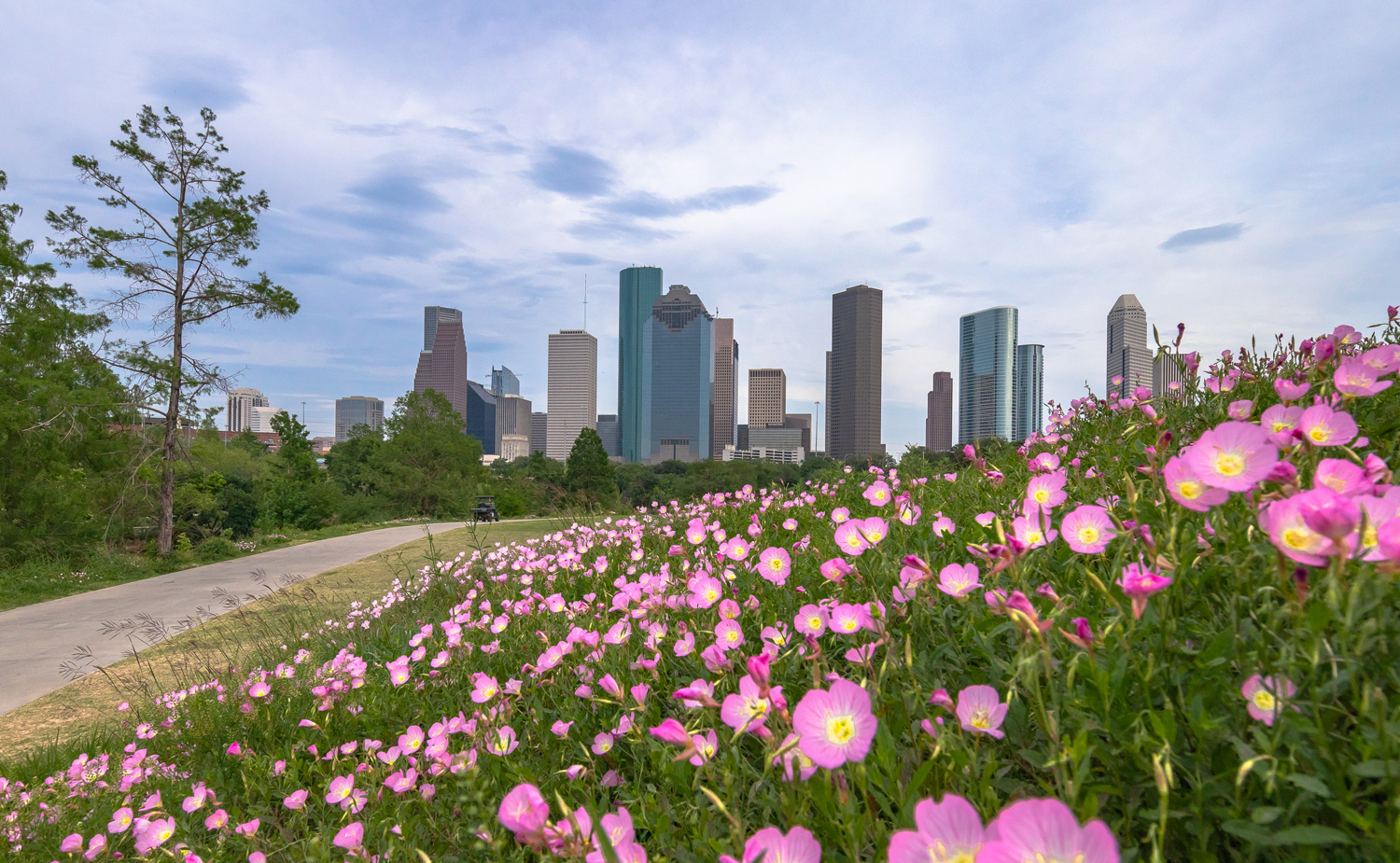 Blühende Blumenwiese vor der Skyline von Houston, Houston, Texas - Credit: Travel Texas