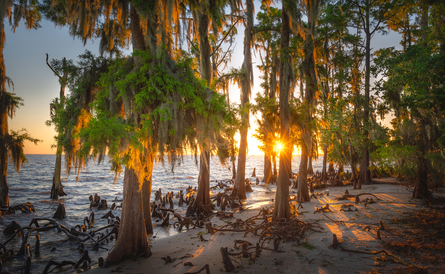 Sunset, Fontainebleau State Park, Louisiana - Credit: LOT