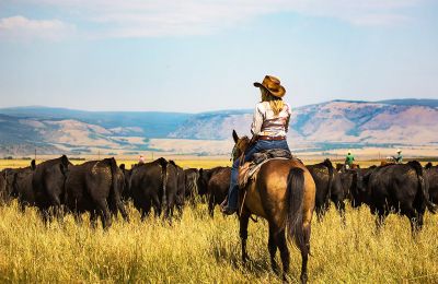 WY/Vee Bar Guest Ranch/Reiten