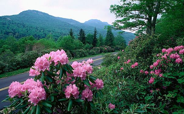 NC/Blue Ridge Mountains/Blue Ridge Parkway