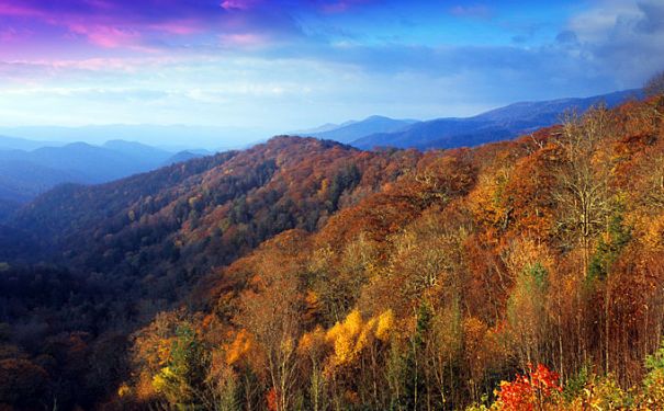 NC/Great Smoky Mountains/Newfound Gap 2