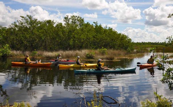 FL/Everglades/Paddling in the Ten