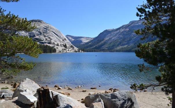 CA/Yosemite National Park/See Tioga Pass