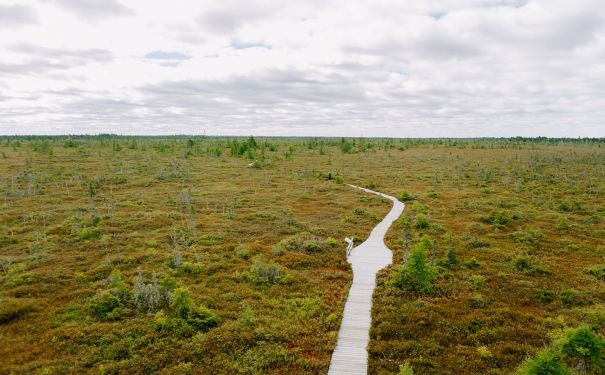 NB/Kouchibouguac National Park