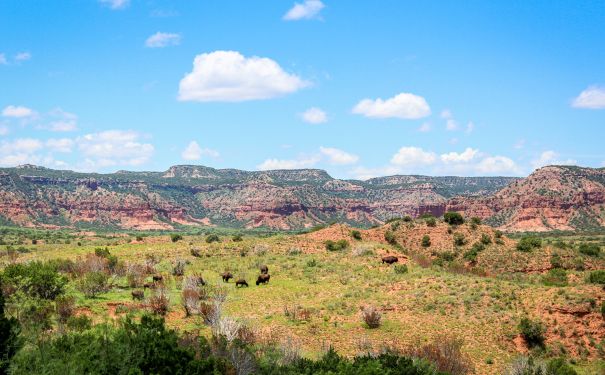 TX/Lubbock/Caprock Canyons State Park