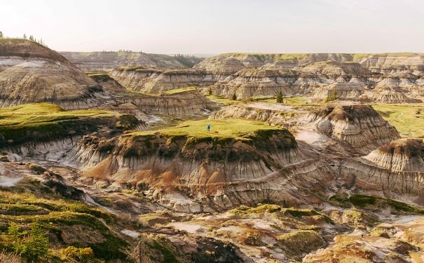 AB/Drumheller/Badlands