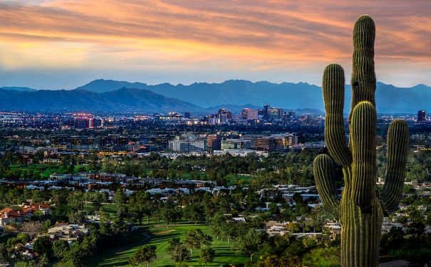 AZ/Phoenix/Downtown Phoenix Skyline from Phoenix Mountains Preserve