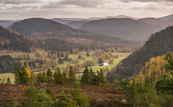 SCO/Nationalparks/Cairngorms im Herbst