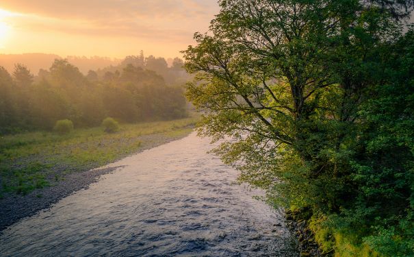 SCO/Highlands/Craigellachie Bridge 1