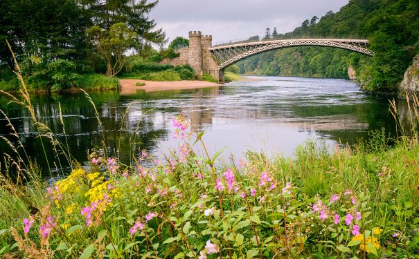 SCO/Highlands/Craigellachie Bridge 2