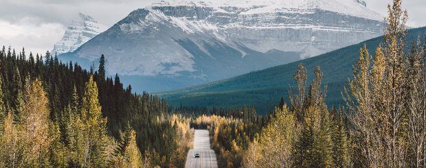 Jasper National Park, Alberta - Credit: Roman Koenigshofer