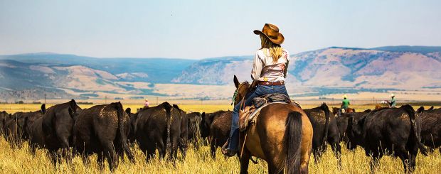 Reiten, Vee Bar Guest Ranch, Laramie, Wyoming Credit - Vee Bar Guest Ranch