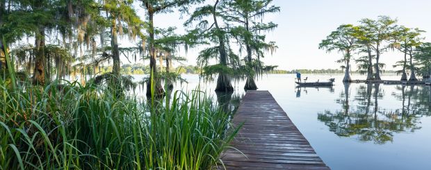 Lake Bruin State Park, Louisiana - Credit: LOT