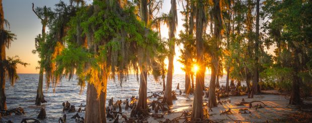 Sunset, Fontainebleau State Park, Lousiana - Credit: LOT