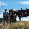 Double R Ranch at Grapevine Canyon, Arizona