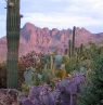 White Stallion Ranch, Tucson, Arizona - Credit: White Stallion Ranch