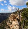 North Rim, Grand Canyon, Arizona - Credit: Dirk Büttner