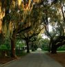 Beaufort, South Carolina - Credit: South Carolina Tourism Office