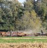 Armische Farmer bei der Heuernte, Lancaster, Pennsylvania - Credit: Pixabay, Robson Machado