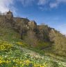 Edinburgh Castle im Frühling, Edinburgh, Schottland - Credit: Visit Scotland