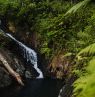 Wasserfall, El Yunque National Forest, Puerto Rico - Credit: Discover Puerto Rico