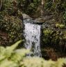 El Yunque, Puerto Rico - Credit: Discover Puerto Rico