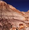 Petrified Forest National Park, Arizona - Credit: Larry D. Fellows, Arizona Office of Tourism