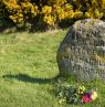 Grabstein Culloden, Schottland - Credit: VisitScotland / Kenny Lam