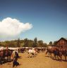 Außenansicht, Vee Bar Guest Ranch, Laramie, Wyoming Credit - Vee Bar Guest Ranch