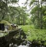 Airboat Swamp Tour McGees, Atchafalaya Basin, Henderson, Louisiana - Credit: LOT