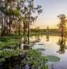 Sunrise, Duck Lake, Louisiana - Credit: LOT