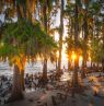 Sunset, Fontainebleau State Park, Lousiana - Credit: LOT