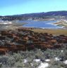 Herbst Cattle Drive 2, Two Creek Ranch, WY Credits: Two Creek Ranch