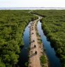 Quadtour am Fluss, Cayman Islands, CYM Credit: Cayman Islands Department of Tourism