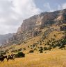 Berge, Paintrock Canyon Ranch - Credit: Ranchlands, Della Frederickson