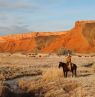 Vor Roten Felsen, Paintrock Canyon Ranch - Credit: Ranchlands, Claudia Landreville