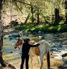 Pferd putzen, Paintrock Canyon Ranch - Credit: Ranchlands, Della Frederickson