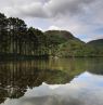 Loch Trool, Dumfries und Galloway - Credit: VisitScotland, Paul Tomkins