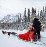 Hundeschlittenfahrt beim Lake Louise - Credit: AdventureCities, Matt Wilder