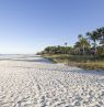 Sonnenaufgang am Naples Pier, Naples, FL Credit: Naples - Marco Island - Everglades CVB